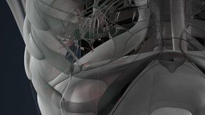 104147472__104120834_gettyimages-686202492