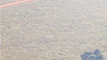 El consejo de Iphan evaluará el geoglifo en Acre.