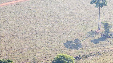 El consejo de Iphan evaluará el geoglifo en Acre.