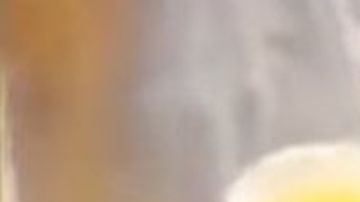 Según comentarios en las redes sociales el líquido amarillo es orina.