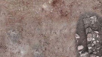 Descubrieron el contorno de un asentamiento de viviendas.