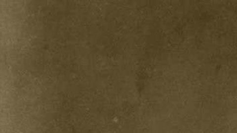 104356523_zelia