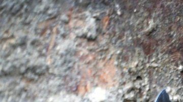 El fresco de Leda y el Cisne es probable que se exhiba en un museo.