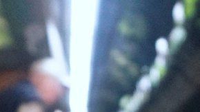 Hay contagios de E. coli en EEUU y Canadá.