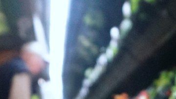 Hay contagios de E. coli en EEUU y Canadá.