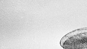 Miles de campesinos pudieron  trabajar legalmente en EEUU.