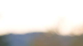 Los tumores cancerígenos usan glucosa para su crecimiento.