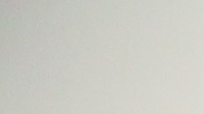 PTP, Proyecto de Teatro Popular con su co fundadora  Mino Lora y estudiantes Cesar Salcedo, Chelsea Garcia, Mell Pena, Lindsay Quezada, Natalie Geronimo y Victor Quezada