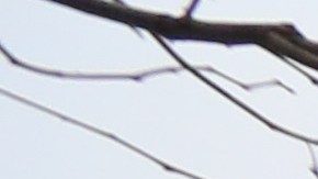 En el barrio del West Village, en Manhattan hay un monumento para recordar a las víctimas de esta epidemia.