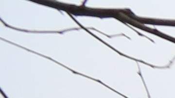 En el barrio del West Village, en Manhattan hay un monumento para recordar a las víctimas de esta epidemia.