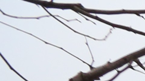 En el barrio del West Village, en Manhattan hay un monumento para recordar a las víctimas de esta epidemia.