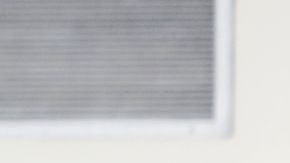 California registra una alta participación de votantes en estas elecciones.