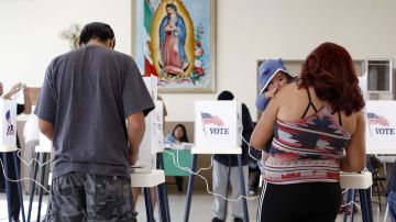 California registra una alta participación de votantes en estas elecciones.