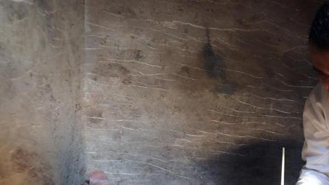 Los gatos momificados. EFE