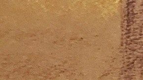 Los comentarios de los abogado de "El Chapo" en Twitter los tiene en problemas