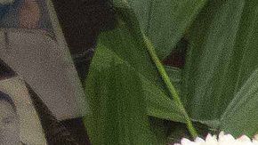 Un altar a Jesús Malverde, considerado como el santo de los narcotraficantes.