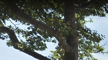 173 Beach 95th St, Far Rockaway