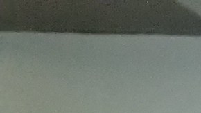 Inquilinos de Brooklyn realizan protesta contra casero casero Barry Hers