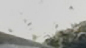 La mujer fue atendida de manera oportuna.