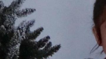 Heidi Orellana, la menor que murió. Suministrada