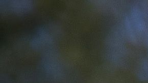 Patrulla Fronteriza detiene a inmigrantes en McAllen, Texas.