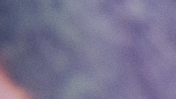 Los visitantes podrán conocer a Poppy e incluso tomarse fotos junto a ella.