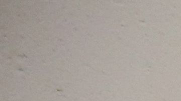 Mergensana estuvo detenido por 11 meses.