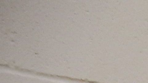 Mergensana estuvo detenido por 11 meses.