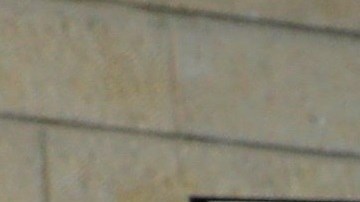 Jared Kushner recibirá el reconocimiento el jueves.