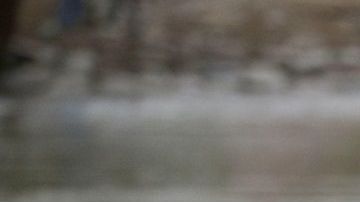 Trump considera que la secretaria Nielsen debería  reforzar aun más las leyes migratorias.