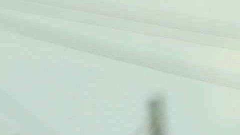 Más de 500 migrantes salvadoreños llegan a la frontera con Guatemala.