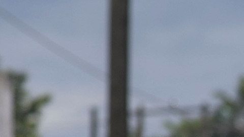 La caravana migrante llega al estado de Veracruz.
