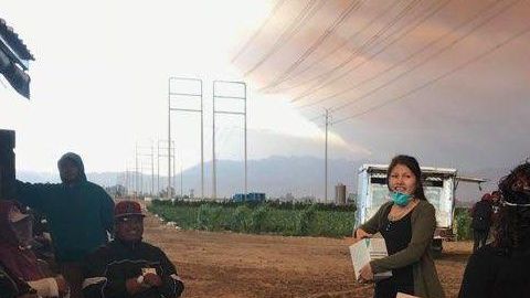 Trabajadoras agrícolas en los campos bajo el humo de los incendios,
