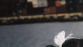 Dos amigas de la infancia se reúnen gracias a Twitter.