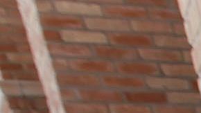 Mira los requisitos para traer tu vehículo