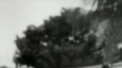 El momento fue registrado en video.