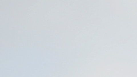 No son las opciones de toda mujer, pero sí las más populares