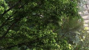 Así luce el aeropuerto de Singapur, uno de los más valorados del mundo.