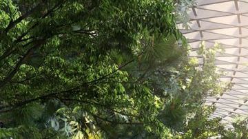 Así luce el aeropuerto de Singapur, uno de los más valorados del mundo.