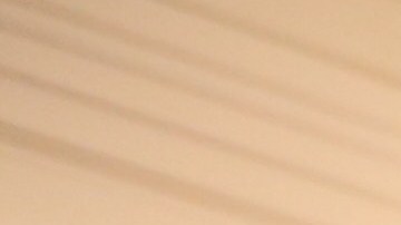 Los protestantes acusaron a Amazon de colaborar con el Servicio de Inmigración y Control de Aduanas (ICE).