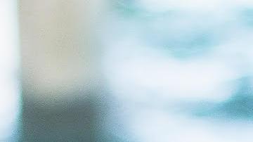 A Cosmo, un Weimaraner, le gusta que lo carguen como si fuera un recién nacido./Cortesía