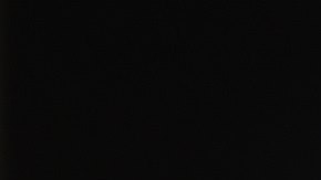 El ‘viernes negro’ es el mayor día de compras del año y el frío seguro no detendrá a los consumidores.