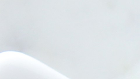 bolognesaplatano-alta0112