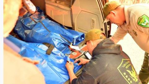 Alrededor de 200 personas permanecen desaparecidas