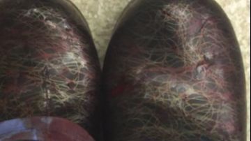 Captura de pantalla 2018-11-12 a las 9