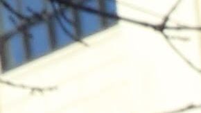 Lideres y activistas como la asambleista electa, Catalina Cruz, el senarod estatal Michael Gianaris y el concejal Van Bramer se oponen a la llegada de Amazon a Queens