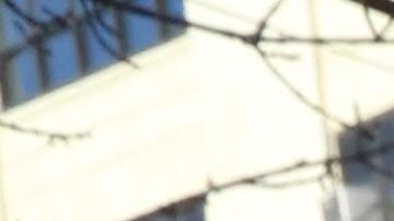 Lideres y activistas como la asambleista electa, Catalina Cruz, el senarod estatal Michael Gianaris y el concejal Van Bramer se oponen a la llegada de Amazon a Queens