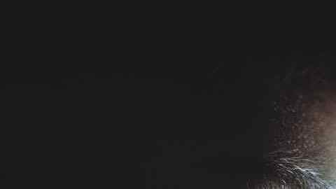 La supuesta víctima vivió en un cobertizo por cuatro años.