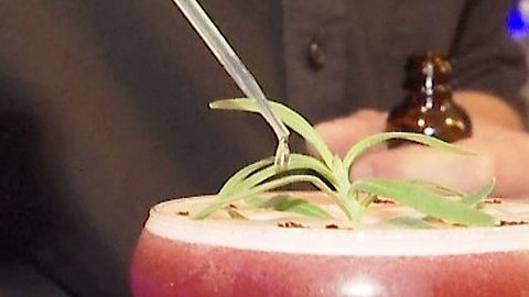 Cannabis en copa