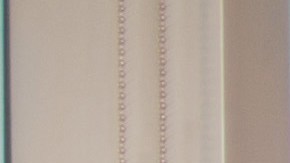 La mayoría de las empresas latinas son jóvenes y tienen gestores también muy jóvenes./Shutterstock